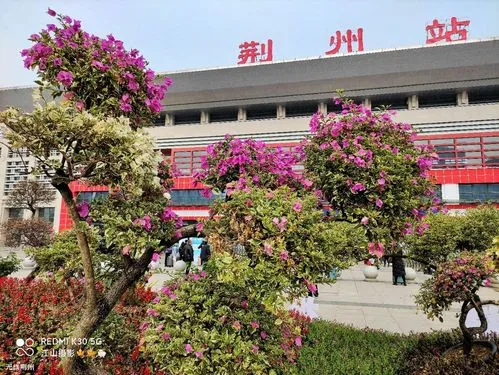 廣州到荊州危險品物流專線-廣州到荊州化工涂料貨運公司-危險品證件齊全