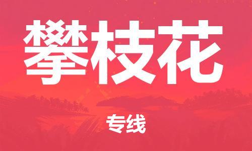佛山到攀枝花物流專(zhuān)線-佛山到攀枝花貨運(yùn)-區(qū)域全覆蓋-銘龍物流
