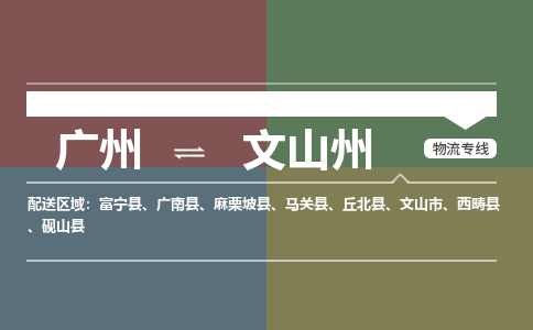 廣州到文山州電商物流配送-廣州到文山州物流招標(biāo)專線-代發(fā)快遞城市配送等服務(wù)