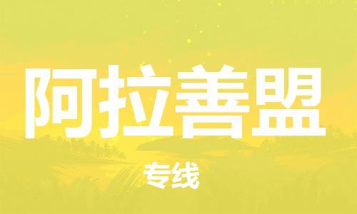 新豐縣至阿拉善盟物流-新豐縣至阿拉善盟專線-新豐縣至阿拉善盟貨運