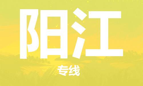 惠東縣到陽江物流專線-惠東縣至陽江貨運-保障你的貨物安全
