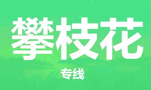 江門到攀枝花物流專線-江門到攀枝花貨運(yùn)-設(shè)備運(yùn)輸-銘龍物流