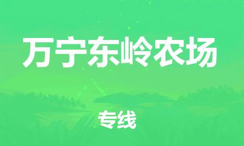 廣州到萬寧東嶺農場電動車行李托運|廣州到萬寧東嶺農場摩托車郵寄物流到家
