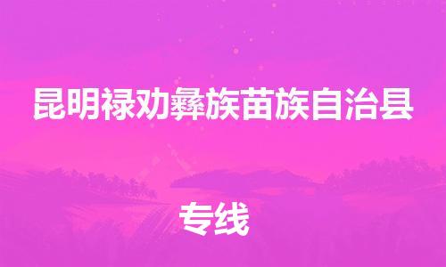 廣州到昆明祿勸彝族苗族自治縣電動(dòng)車行李托運(yùn)|廣州到昆明祿勸彝族苗族自治縣摩托車郵寄物流到家