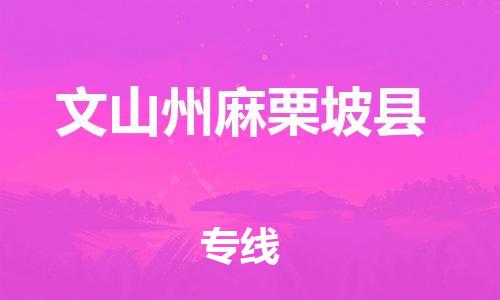 廣州到文山州麻栗坡縣電動車行李托運|廣州到文山州麻栗坡縣摩托車郵寄物流到家