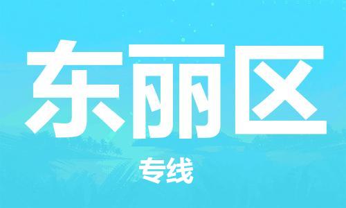 惠東縣到東麗區(qū)物流專線-惠東縣至東麗區(qū)貨運(yùn)-為您提供高品質(zhì)的物流服務(wù)。