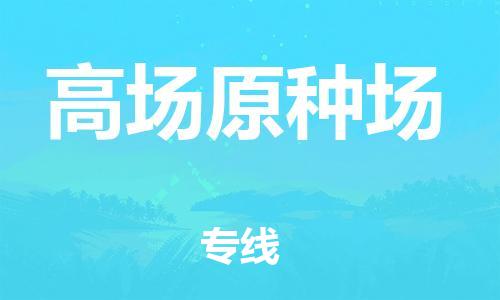 新豐縣到高場原種場物流公司-新豐縣至高場原種場專線-小時(shí)快速運(yùn)輸專線