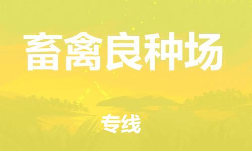 新豐縣到畜禽良種場物流專線-【精品】新豐縣至畜禽良種場貨運