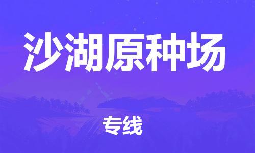 新豐縣到沙湖原種場(chǎng)物流專線-沙湖原種場(chǎng)到新豐縣貨運(yùn)-貨運(yùn)公司