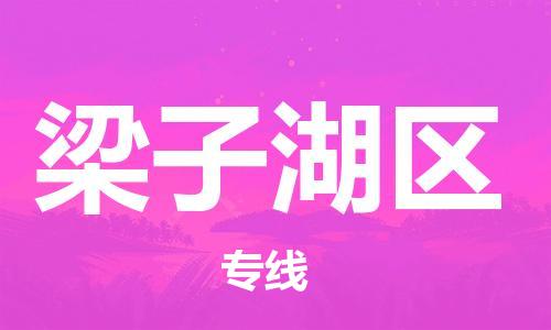 新豐縣到梁子湖區(qū)物流專線-新豐縣至梁子湖區(qū)貨運(yùn)專業(yè)、高效的