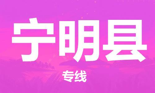 新豐縣到寧明縣物流專線-讓配送更放心新豐縣至寧明縣貨運