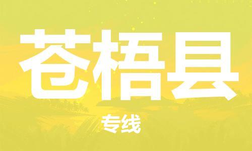 新豐縣到蒼梧縣物流專線-票價優(yōu)惠，運輸安全新豐縣至蒼梧縣貨運
