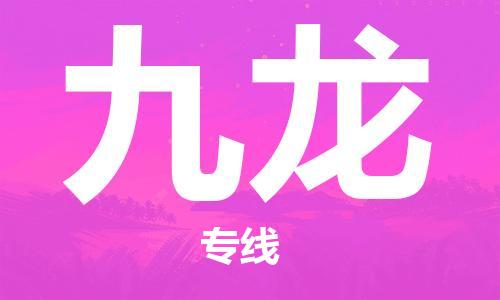 新豐縣到九龍物流專線-新豐縣至九龍貨運(yùn)極速快