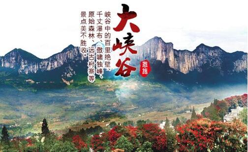 新豐縣到屏山縣危化品運輸專線-新豐縣到屏山縣貨運-歡迎來電