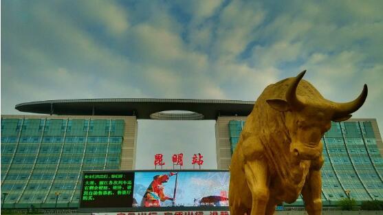 廣州到遼寧海運(yùn)物流|廣州到遼寧海運(yùn)專(zhuān)線(xiàn)-快捷馬頭提送柜。