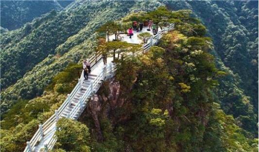 新豐縣到龍門鎮(zhèn)物流專線-龍門鎮(zhèn)到新豐縣貨運(yùn)-實(shí)時(shí)定